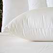 Image of Silk Covered Goose Down Pillow