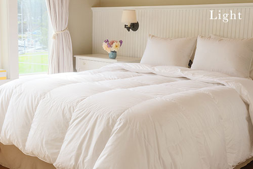 800 fill down comforter best sale