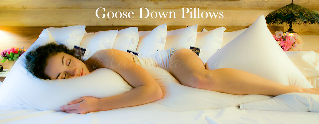 https://www.plumeriabay.com/images/pillows/down-pillows-banner.jpg